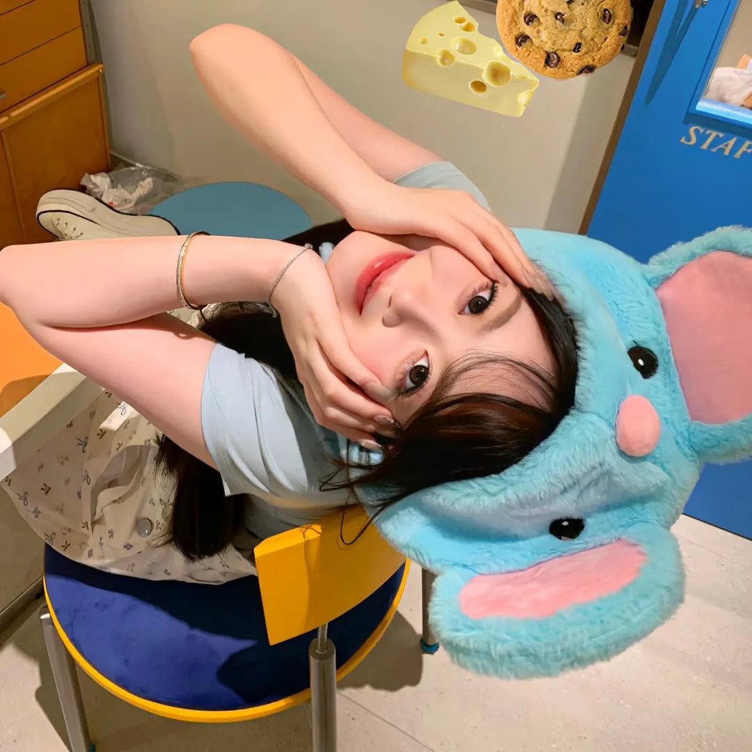 回到藏身处